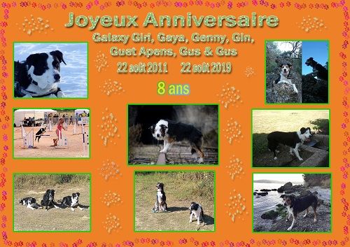 des Crocs de Provence - Joyeux Anniversaire