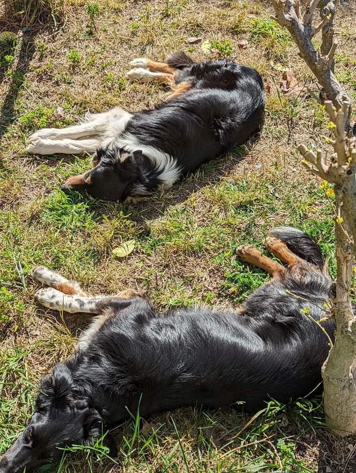 des Crocs de Provence - Des nouvelles d'Occitanie