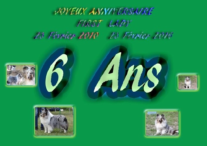 des Crocs de Provence - Joyeux Anniversaire