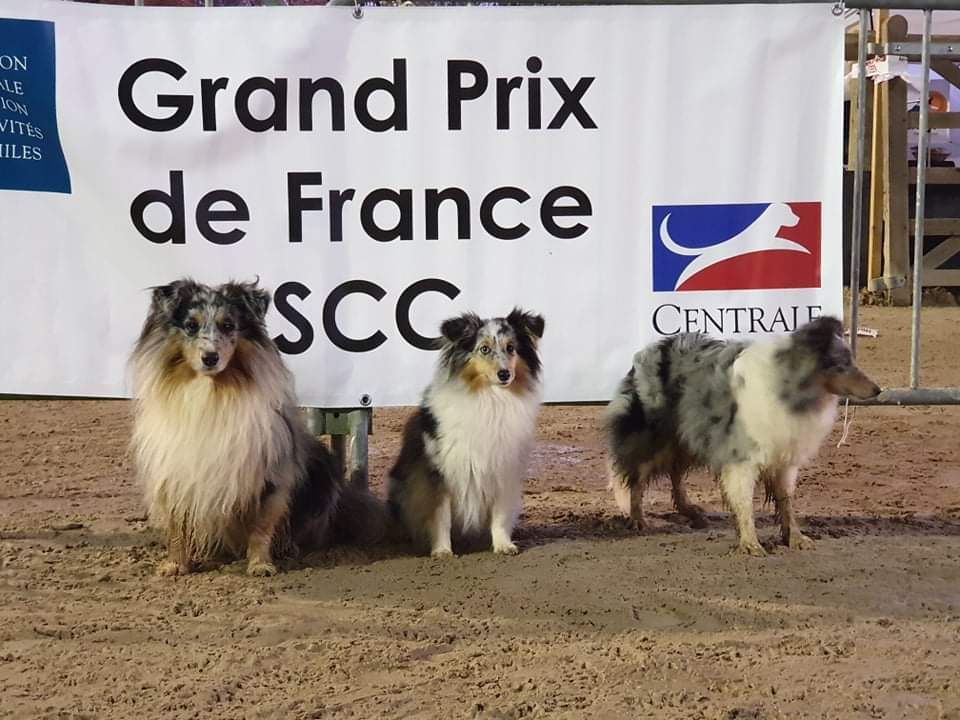 des Crocs de Provence - Les Crocs de Provence à Bourgbarré