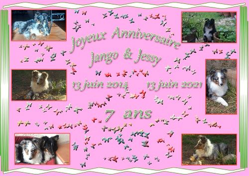 des Crocs de Provence - Joyeux Anniversaire