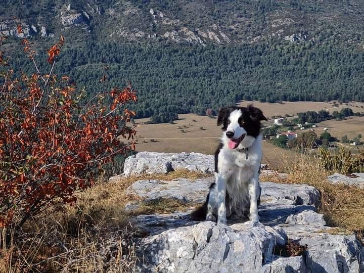 des Crocs de Provence - Des nouvelles de Naïa