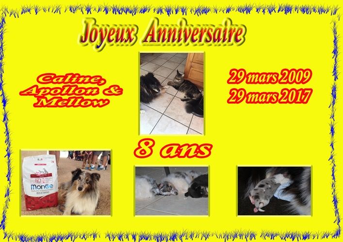 des Crocs de Provence - Joyeux Anniversaire