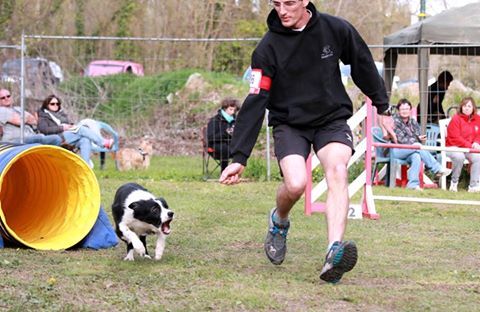 des Crocs de Provence - Concours d'agility du Chaffaut