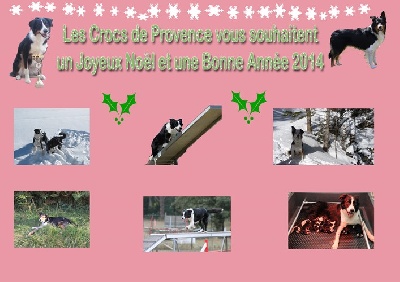 des Crocs de Provence - Bonne année