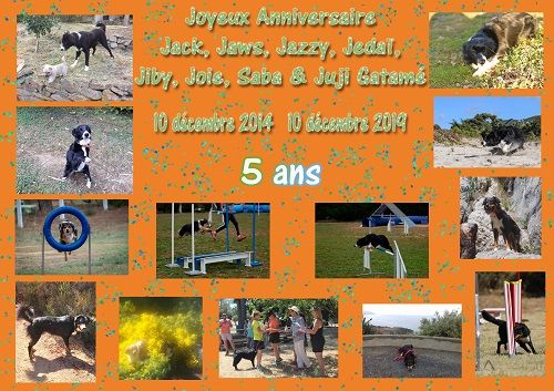 des Crocs de Provence - Joyeux Anniversaire