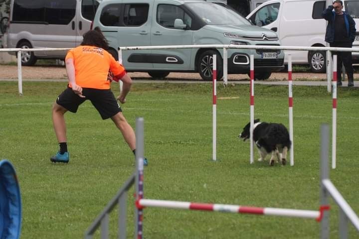 des Crocs de Provence - Concours d'agility de la CNEAC