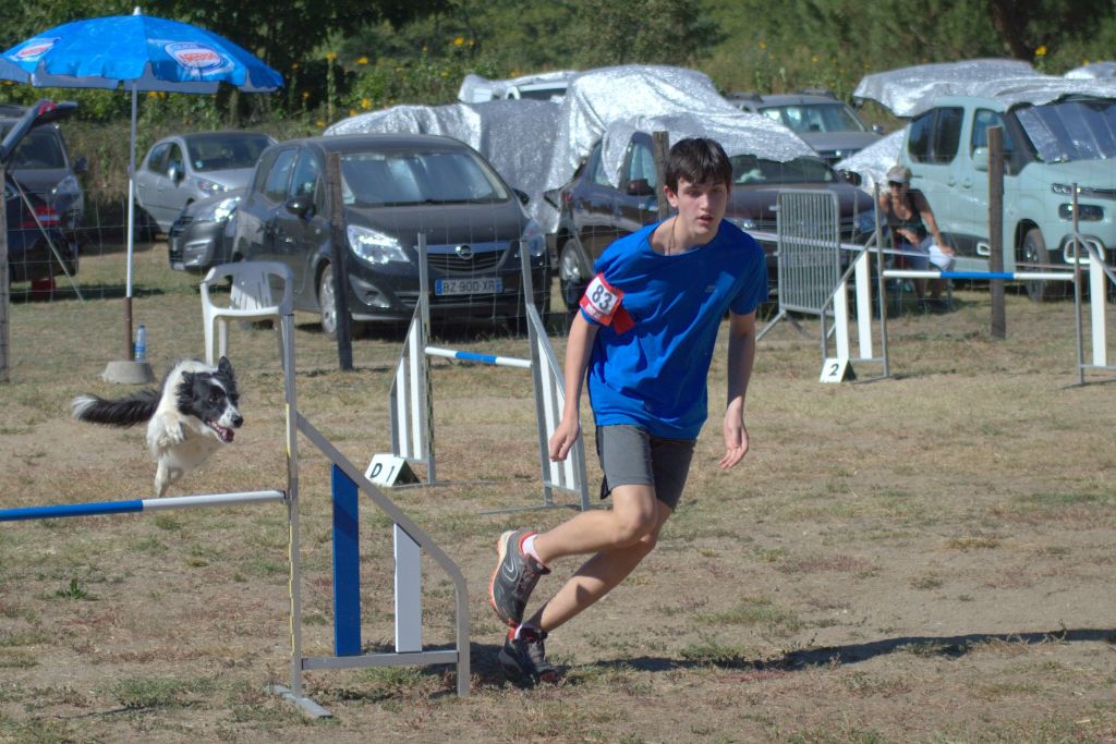 des Crocs de Provence - Concours d'agility de Longechenal