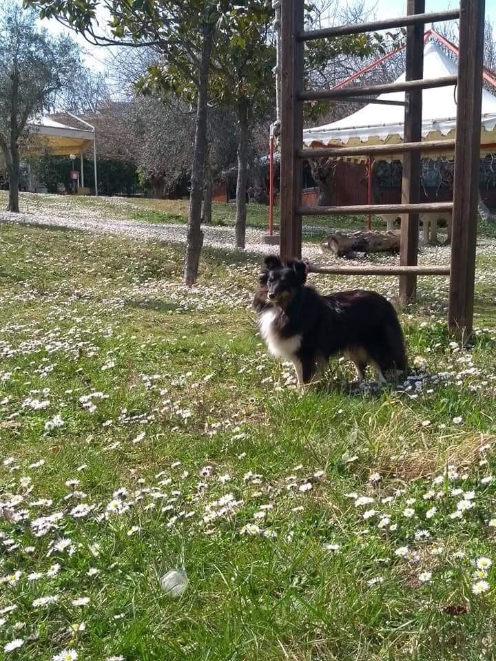 des Crocs de Provence - Saori confirmée