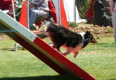 des Crocs de Provence - Victoria au Sélectif du Grand Prix de France 2012