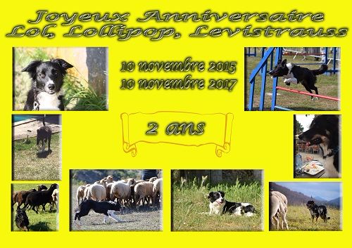 des Crocs de Provence - Joyeux Anniversaire