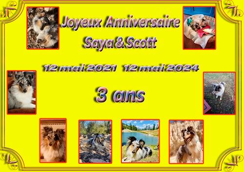 des Crocs de Provence - Joyeux Anniversaire