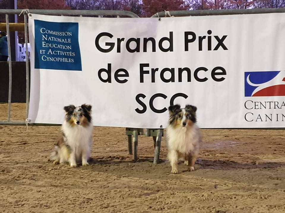 des Crocs de Provence - Osanna gagne le trophée Patrick Decorte