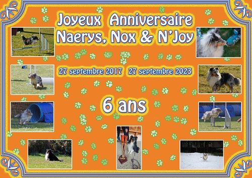 des Crocs de Provence - Joyeux Anniversaire