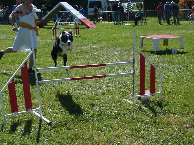 des Crocs de Provence - Sélectif du Grand Prix de France d'agility