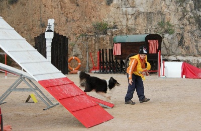 des Crocs de Provence - Concours d'agility des Cadéou