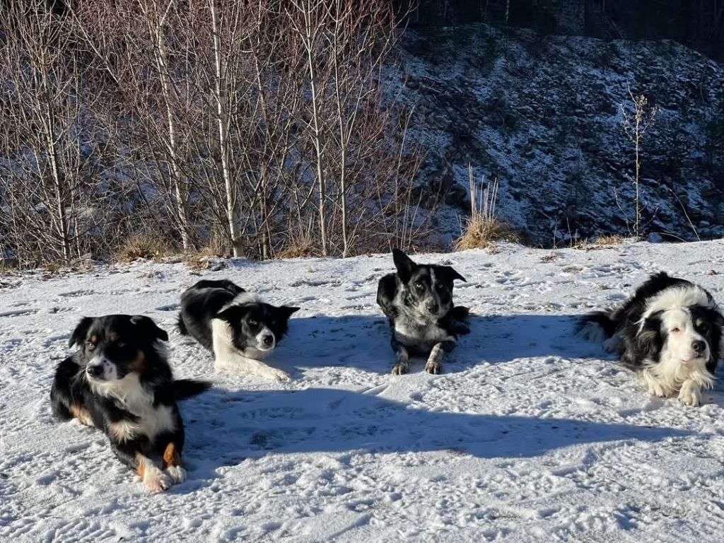 des Crocs de Provence - Des nouvelles de Hades