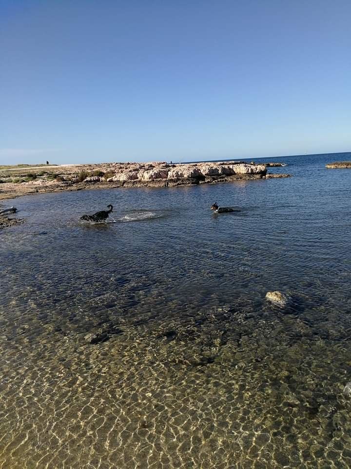 des Crocs de Provence - Des nouvelles d'Occitanie