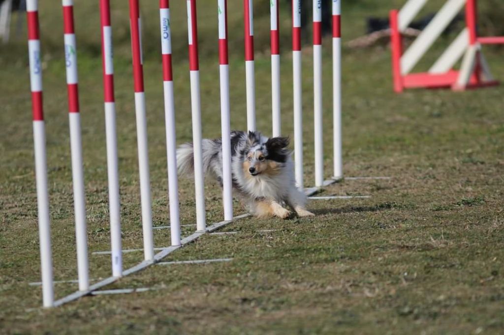 des Crocs de Provence - Les Crocs de Provence au Championnat de France Grade 3 2022