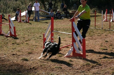 des Crocs de Provence - Sélectif du Grand Prix de France d'agility