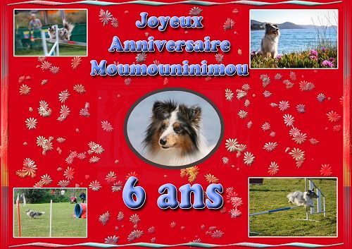 des Crocs de Provence - Joyeux Anniversaire