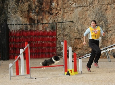 des Crocs de Provence - Concours d'agility de Monaco