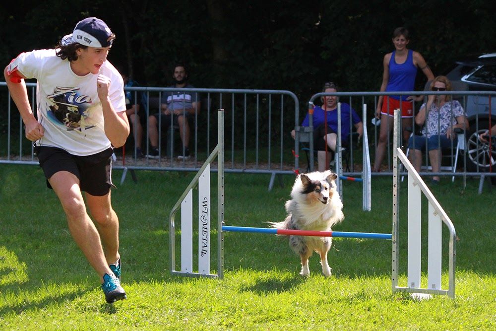 des Crocs de Provence - Concours d'agility de Jonquières