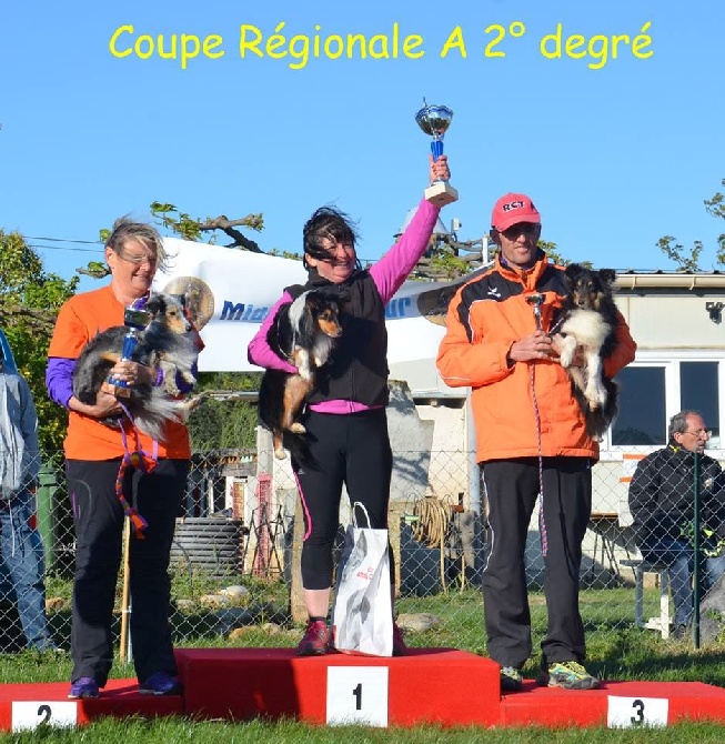 des Crocs de Provence - Féline au Championnat de France d'agility