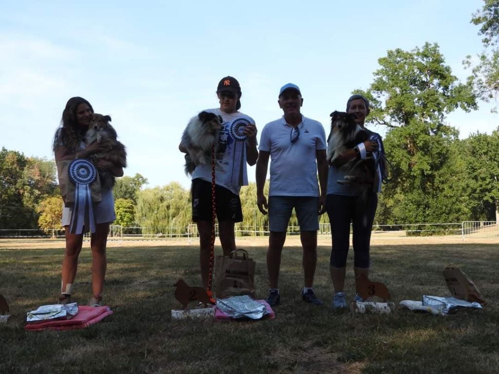 des Crocs de Provence - Légolas Vice Champion de France d'agility à la NE 2022