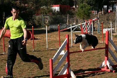 des Crocs de Provence - Stage agility de Brignoles