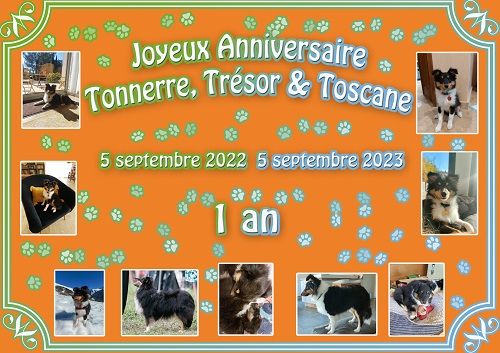 des Crocs de Provence - Joyeux Anniversaire