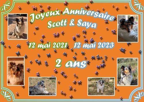 des Crocs de Provence - Joyeux Anniversaire