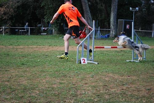 des Crocs de Provence - Légolas