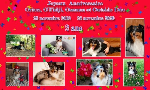 des Crocs de Provence - Joyeux Anniversaire