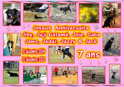 des Crocs de Provence - Joyeux Anniversaire