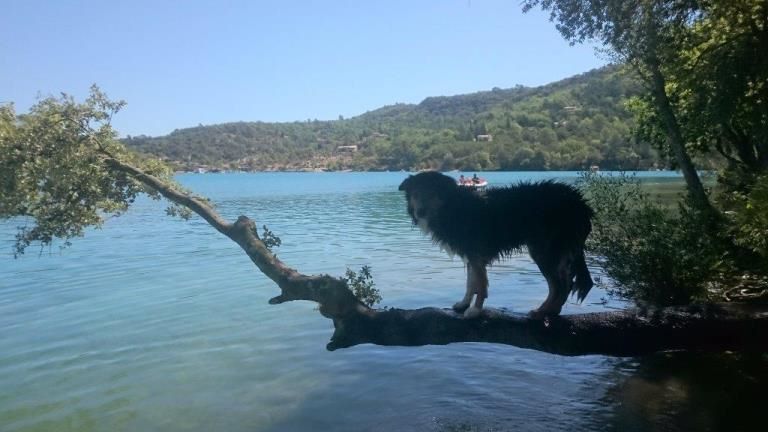 des Crocs de Provence - Des nouvelles de Forban