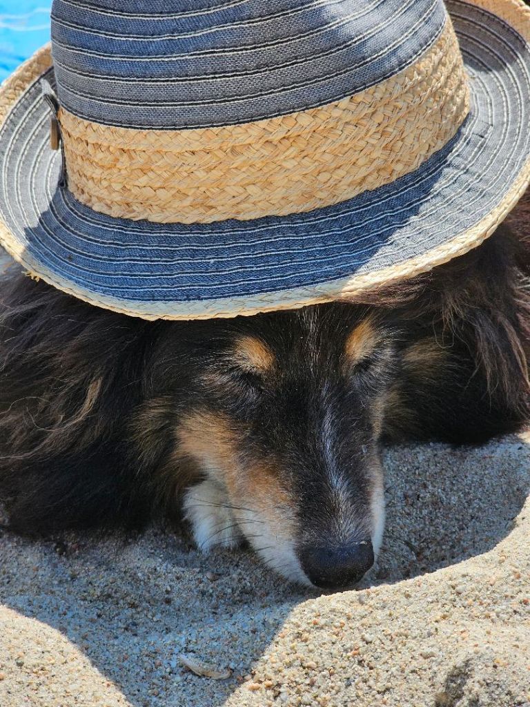 des Crocs de Provence - Des nouvelles d'Haïku