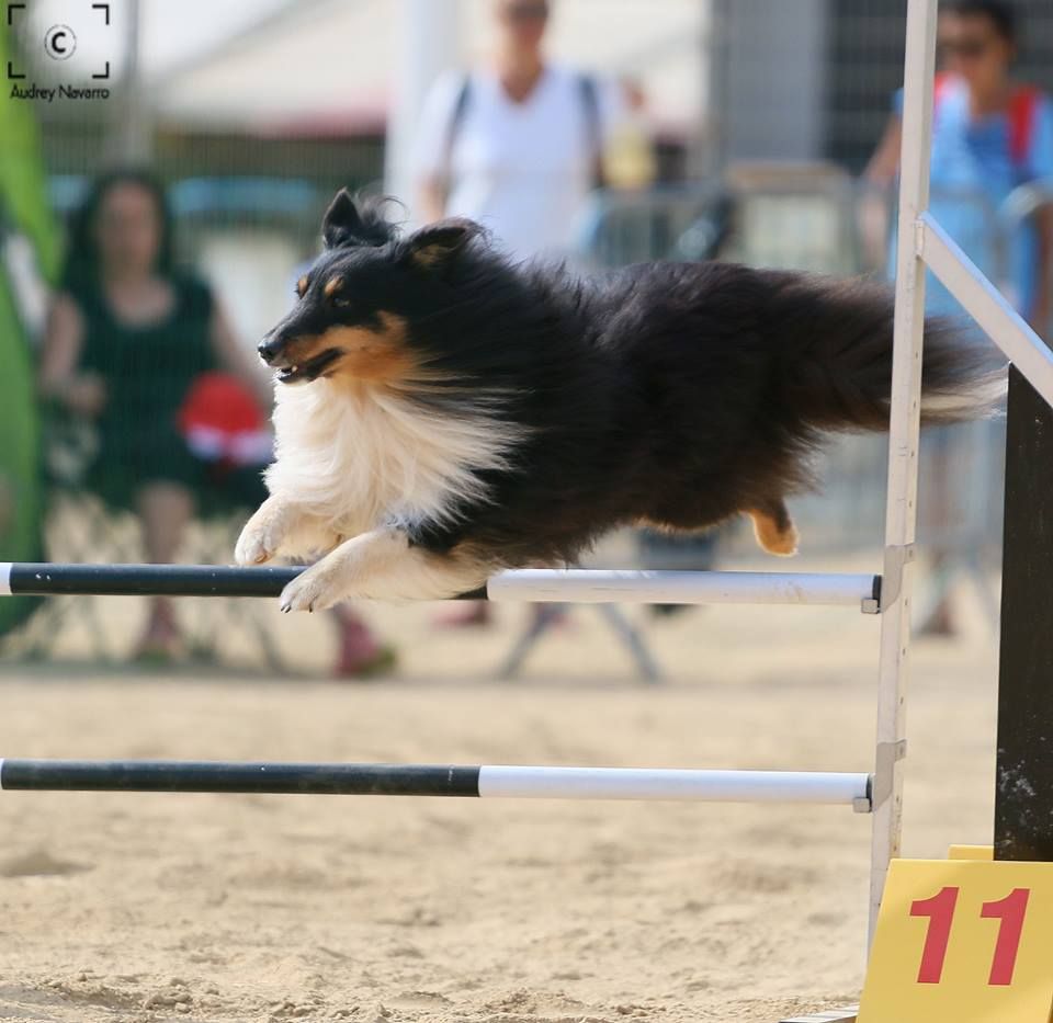 des Crocs de Provence - Iakari vice champion régional 2018