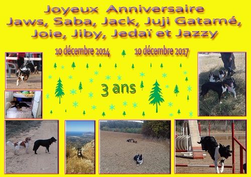 des Crocs de Provence - Joyeux Anniversaire