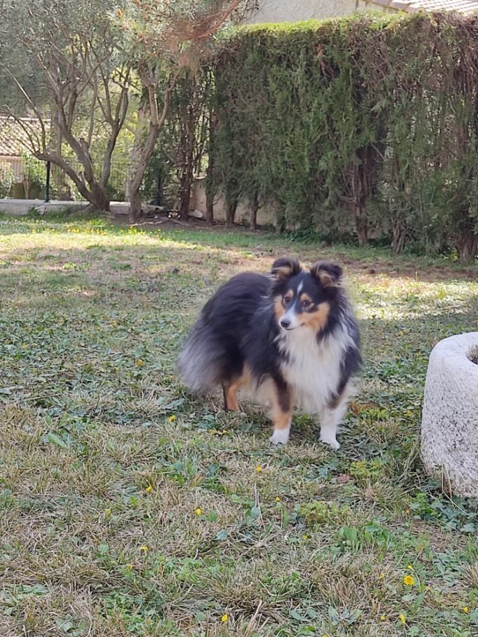 des Crocs de Provence - Des nouvelles de Rubie