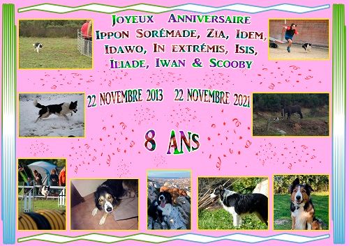 des Crocs de Provence - Joyeux Anniversaire