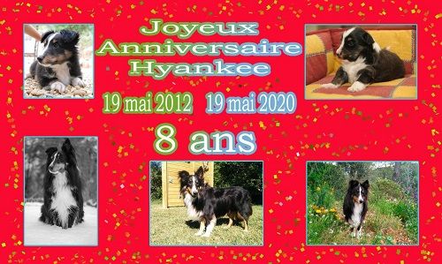 des Crocs de Provence - Joyeux Anniversaire