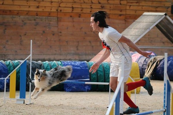 des Crocs de Provence - Concours d'agility de Cannes