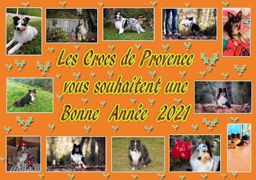 des Crocs de Provence - Bonne Année