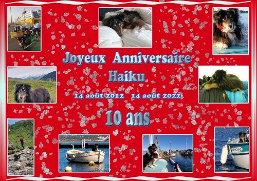 des Crocs de Provence - Joyeux Anniversaire