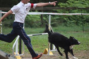 des Crocs de Provence - Concours d'agility de Roquebrune Cap Martin