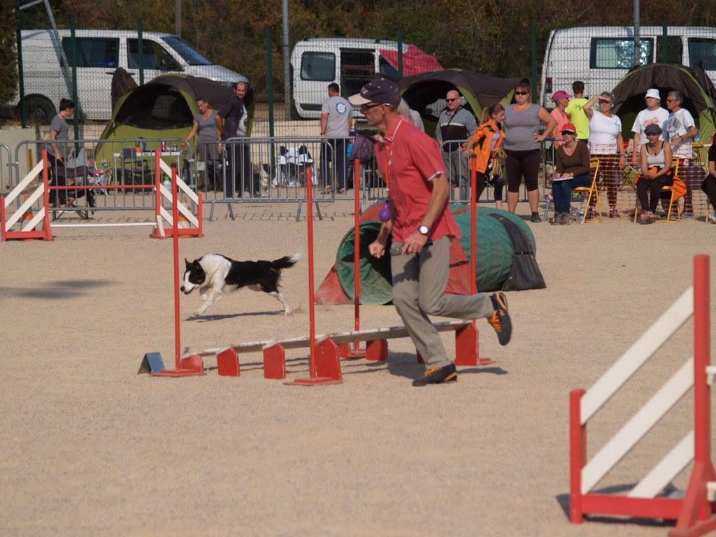 des Crocs de Provence - Concours d'agility des Cadéous