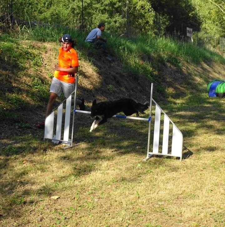 des Crocs de Provence - Concours d'agility de Saint Etienne de Crossey