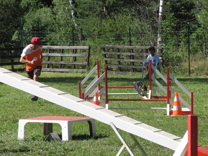 des Crocs de Provence - Concours d'agility de Marignane