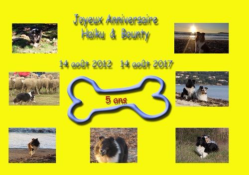 des Crocs de Provence - Joyeux Anniversaire